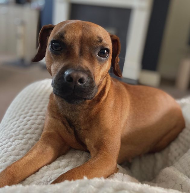 View more animals
