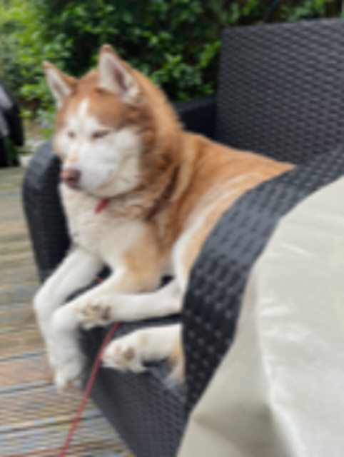 View more animals
