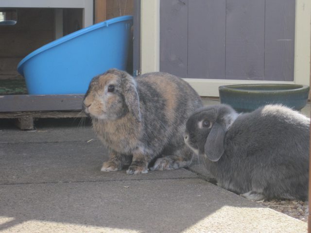 View more animals