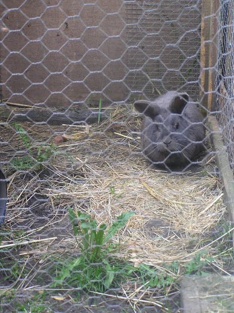 View more animals