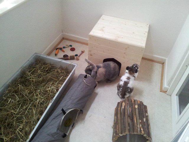 View more animals