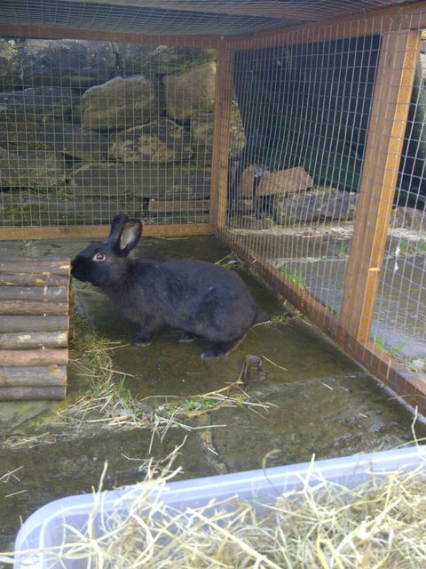 View more animals
